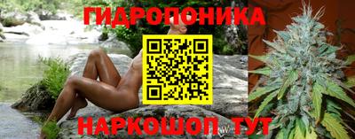 крисы Краснознаменск