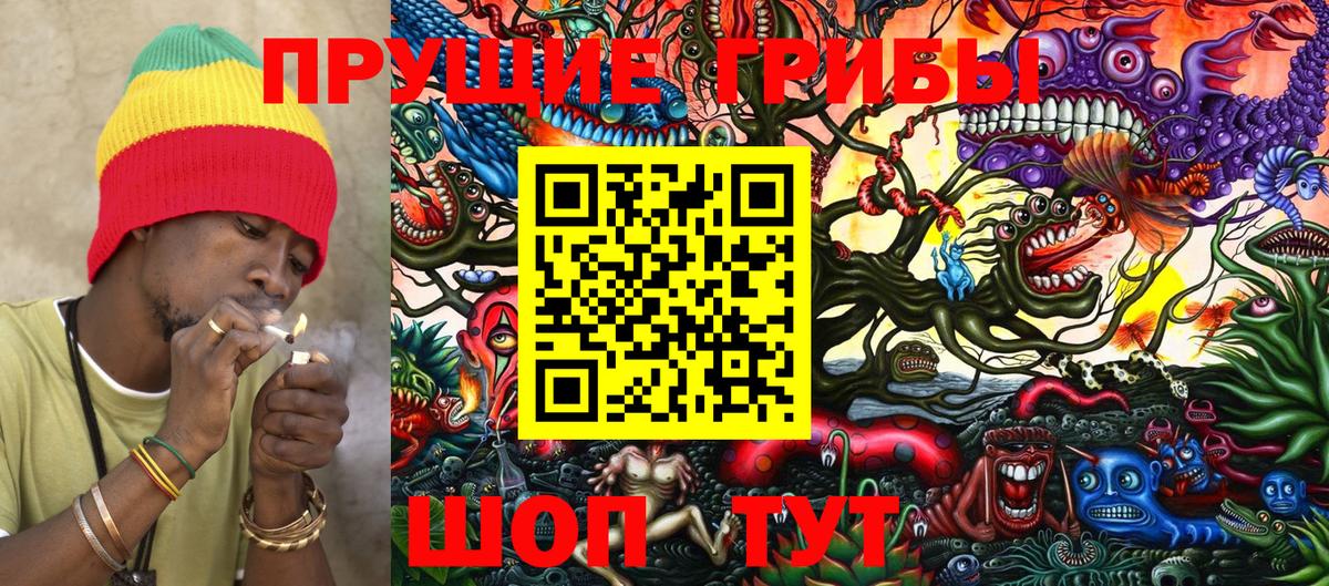 Гусев  Галлюциногенные грибы Cubensis  Вход с VPN 